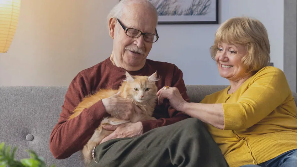 An older couple sitting on a sofa with their cat